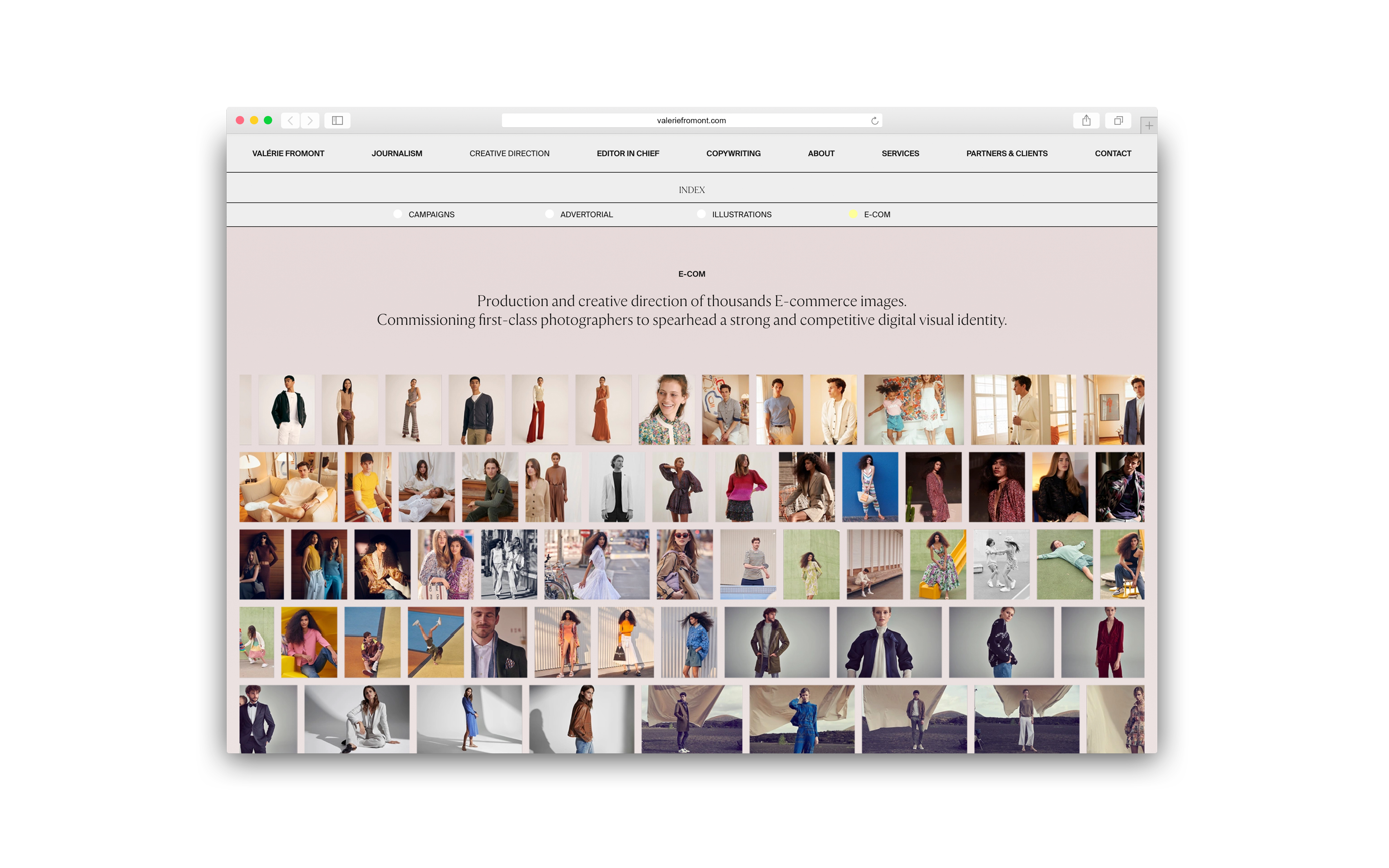 Valerie Fromont, website overview